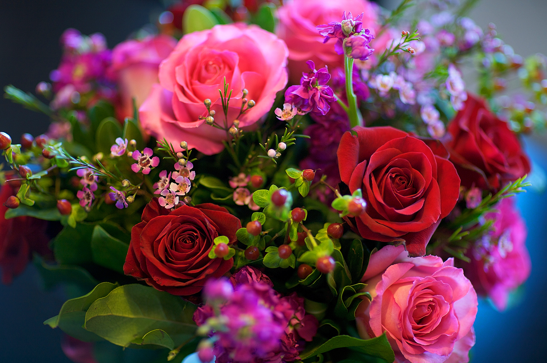 Roses_Bouquets_483657